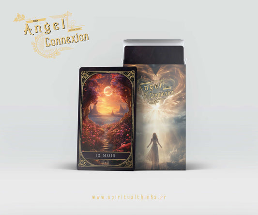 Oracle Angel Connexion (2/3)